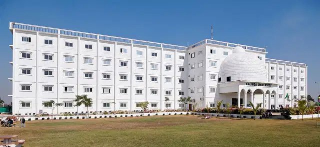 Kalinga_University